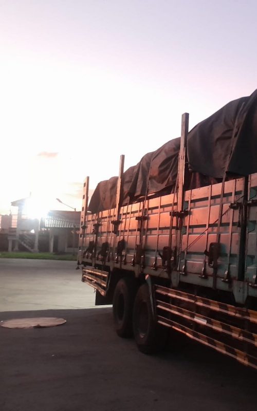 Mandalaputra Prima Mandiri mandalaputra muatan bak terpal